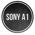 sonya1